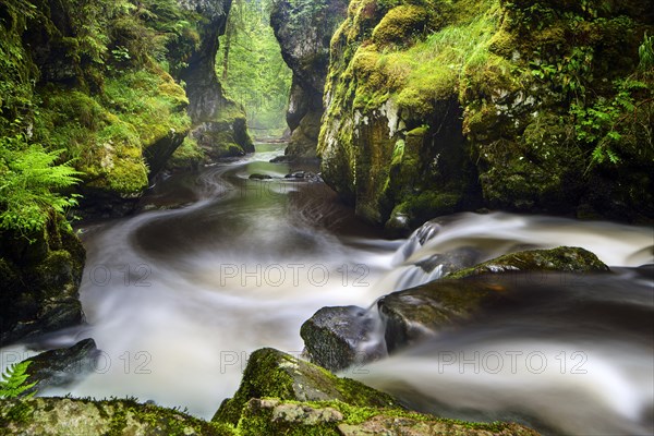 Haslach Gorge