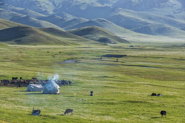 Nomad yurt camp