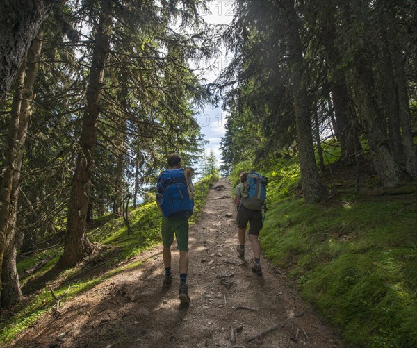 Hikers on trail in the forest to Hochwurzen