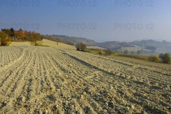 Harvested fields in autumn