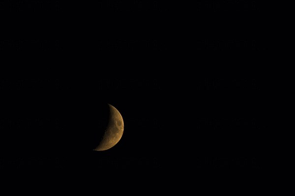 Crescent moon in the night sky