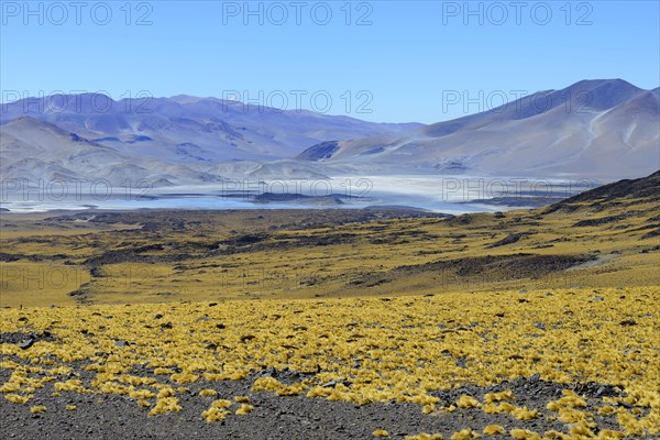 Lagoon on the border with Chile