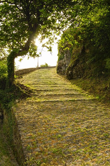 Driveway to the castle