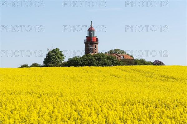 Rape field with lighthouse Bastorf