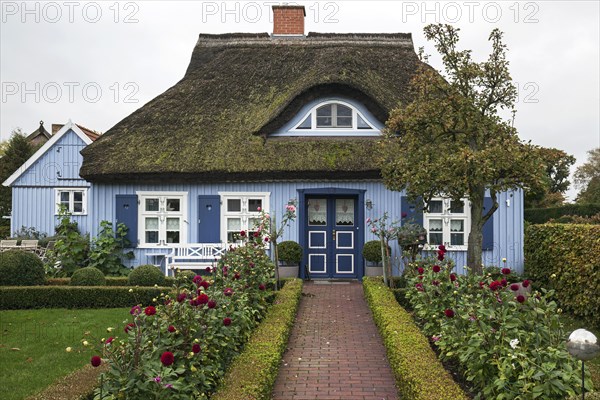 Typical blue thatched-roof house