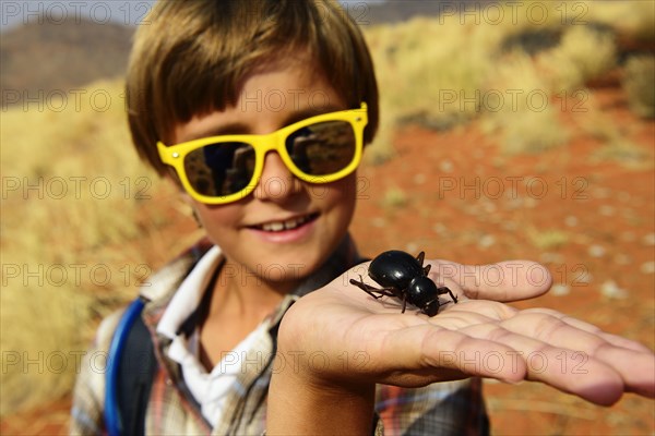 Boy holds a black beetle in the hand