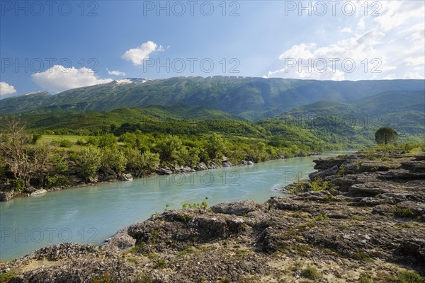 River Vjosa