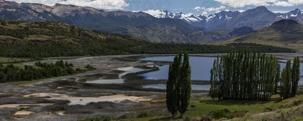Clear mountain lake with reeds and trees behind the snow-capped mountains of the Andes