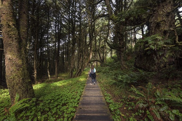 Tourist on her way through rainforest