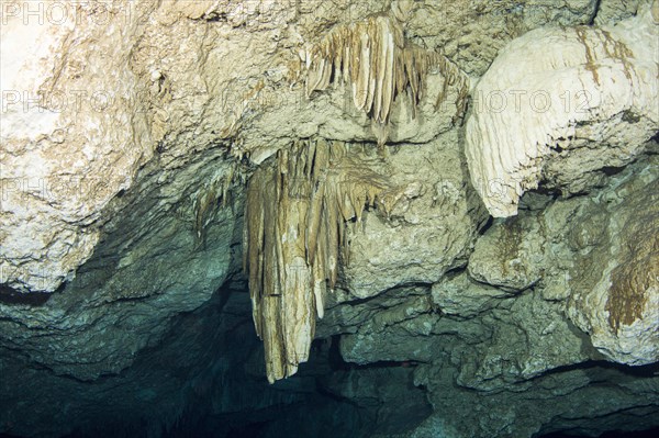 Drooping stalactites in the Cenote Tajma Ha underwater cave