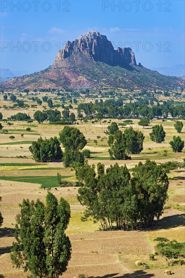 Hawzien plain with Gheralta mountain range
