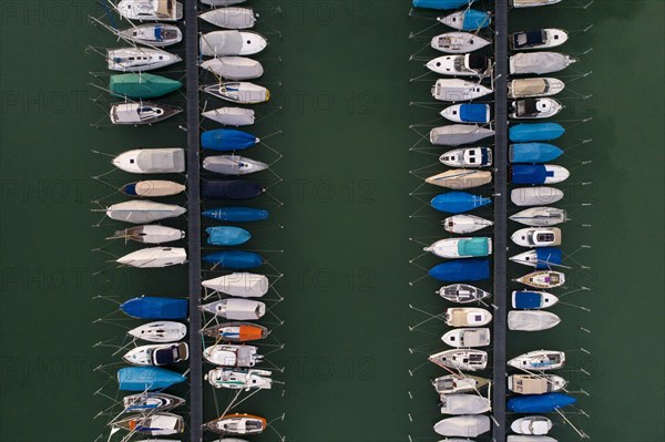 Sailboats in the harbour