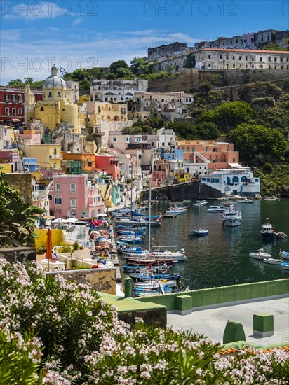 Colorful houses