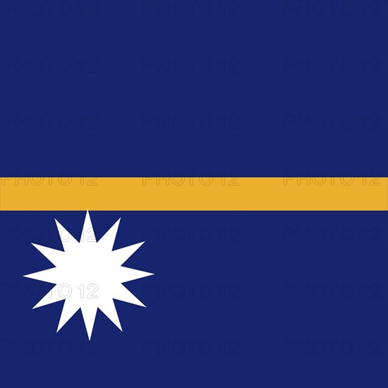 Official national flag of Nauru