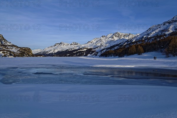 View over frozen Lake Silsersee to the Bernina Group with peaks Piz Rosatsch