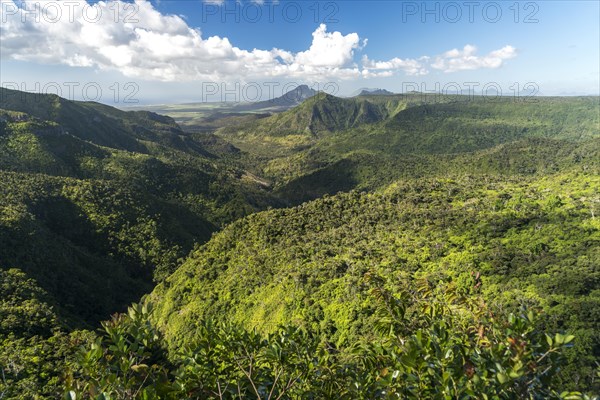 View over the gorge in the Black River Gorges National Park