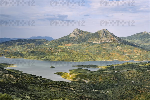 Green landscape with reservoir Zahara-El Gastor Reservoir