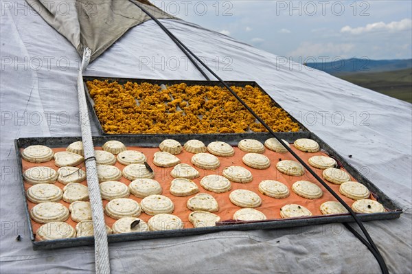 Traditional Aaruul or Mongolian quark cheese