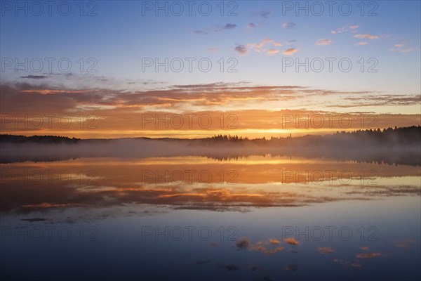 Dawn