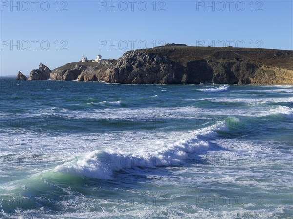 Surf