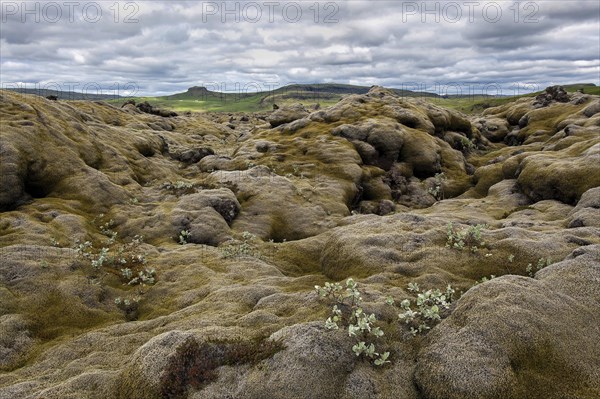 Volcanic landscape