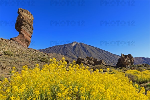 Rock formation Los Roques de Garcia in front of volcano Pico del Teide
