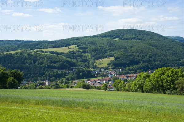 View of Oberbach