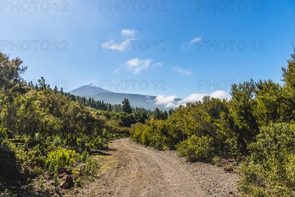 Gravel road