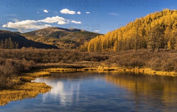 Tuul river with landscape in autumn colors and Burkhan Khaldun Mountain