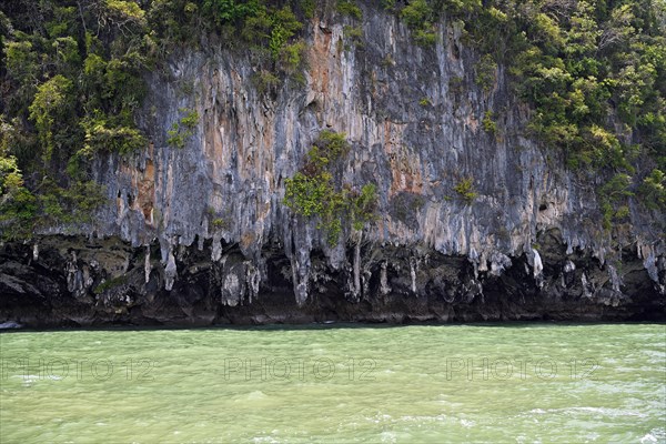 Eroded overgrown limestone rocks in Phang Nga Bay