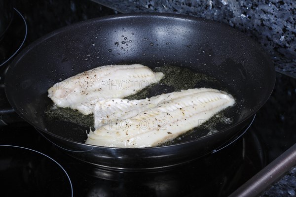Fish fillets