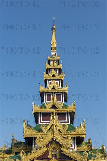 Ornate roof