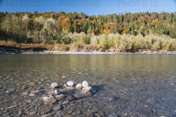 The river Lech with autumnal forest near the Ziegelwiesen