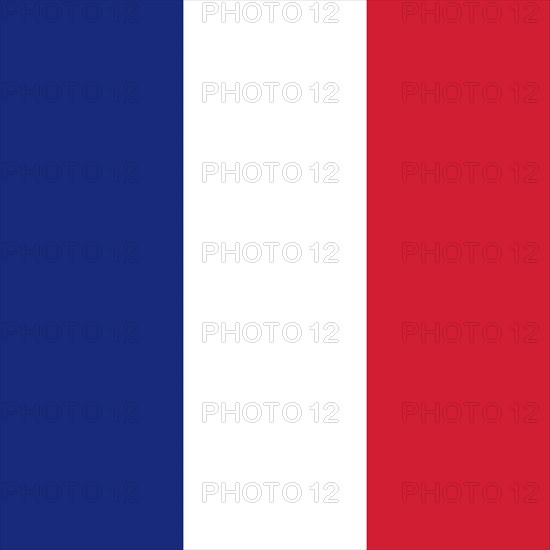 Official national flag of Saint Barthelemy