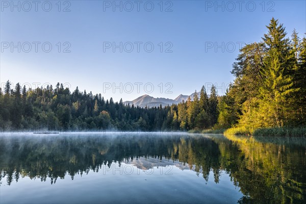 Water reflection at Lake Crestasee