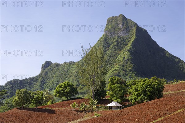 Agricultural land