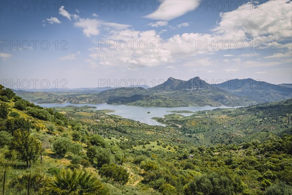 Green landscape with reservoir Zahara-El Gastor Reservoir