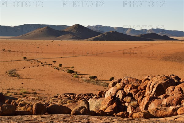 Desert Landscape