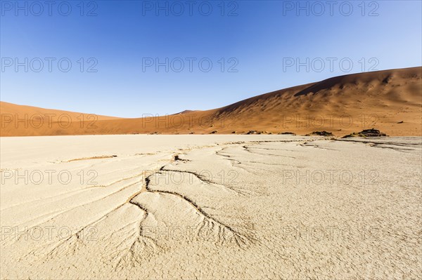Water veins in the dry soil