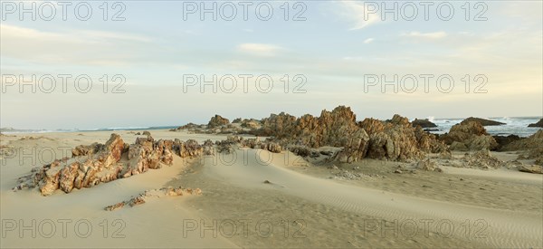 Rocky Beach Muffels Bay