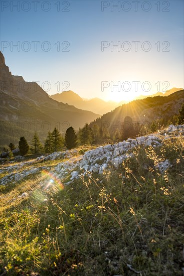 Sunrise in front of mountain silhouette with mountain meadow