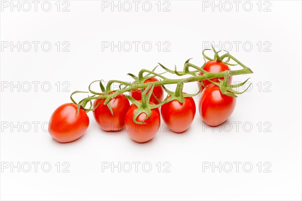 Mini Cherry Tomatoes