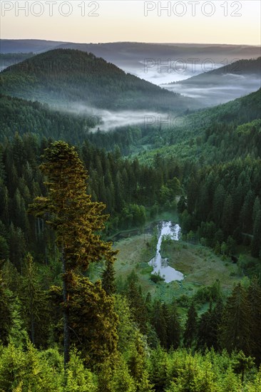 View from the viewing platform Ellbachseeblick