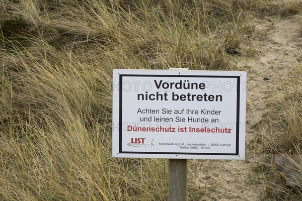Primary dune at List