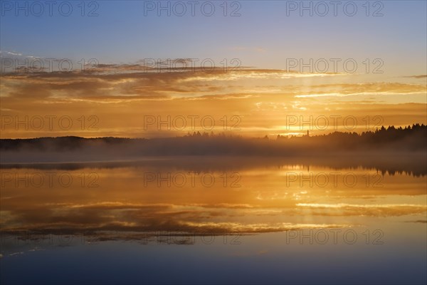 Dawn