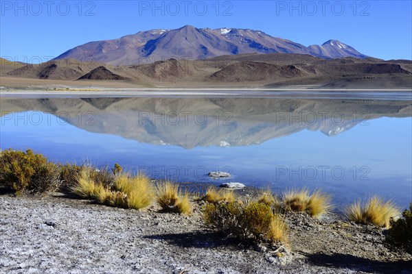 Mountain reflected in the Laguna Ramaditas