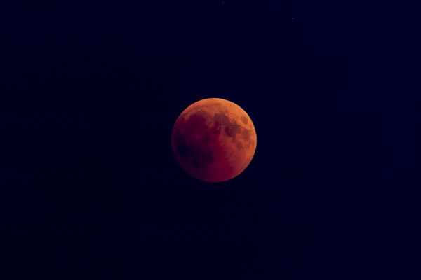 Bloodmoon