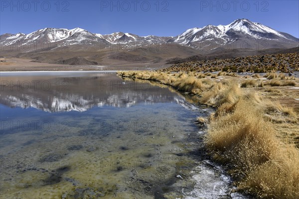 Laguna Canapa