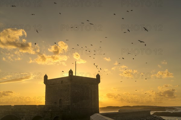 Sunset behind Scala du Port harbour tower with flying seagulls