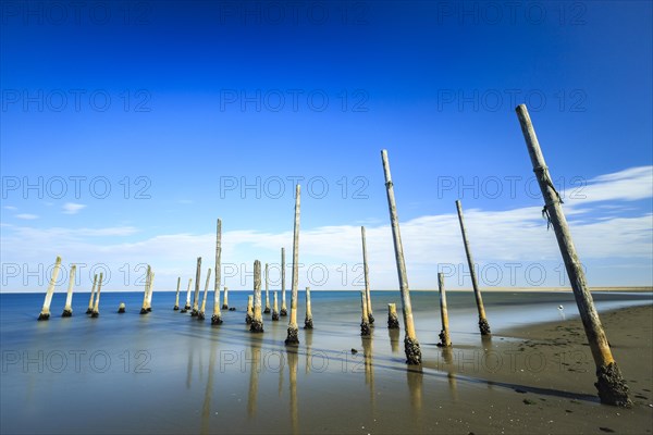 Piles of a decayed pier in the water